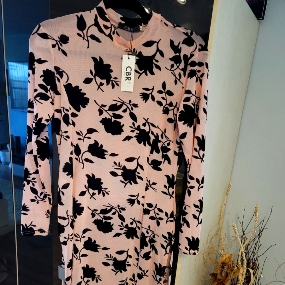 CBR Sexy, sheer, side slit dress